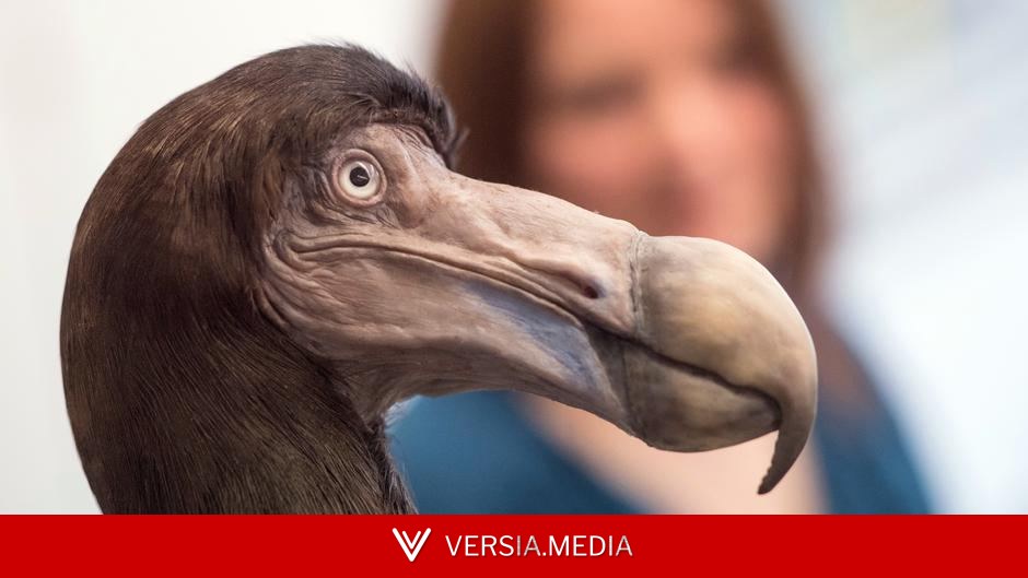 هل يمكن للتكنولوجيا أن تعيد الأنواع المنقرضة للحياة؟ — Tech | Versia.media