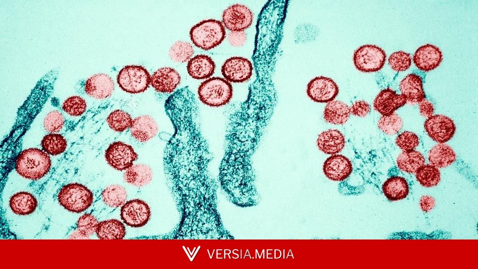 أهم ما يجب أن تعرفه عن فيروس هانتا! — Tech | Versia.media