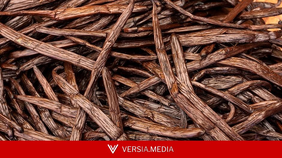 عبقرية طفل حولت الفانيليا من نبات نادر إلى نكهة عالمية