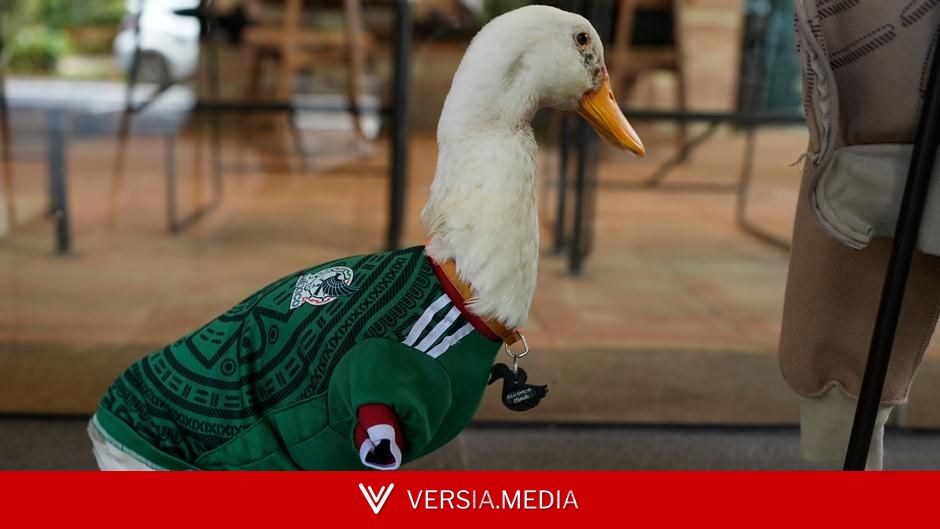 كأس العالم 2026: البطة "ميرلين" تسرق الأضواء من نجوم منتخب المكسيك! — Tech | Versia.media